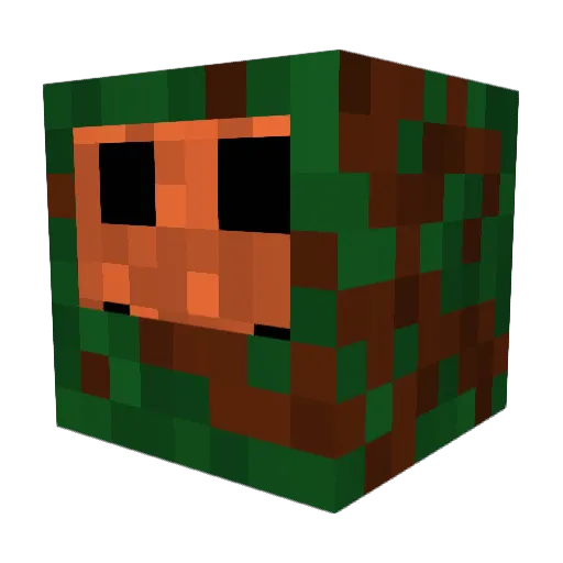 Birkenfunk Minecraft avatar head, 3D render