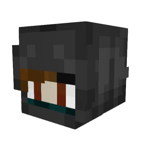 Birksy010 Minecraft avatar head, 3D render