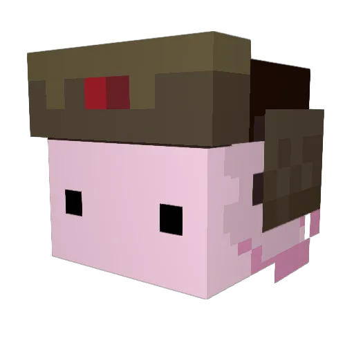 Birle06 Minecraft avatar head, 3D render