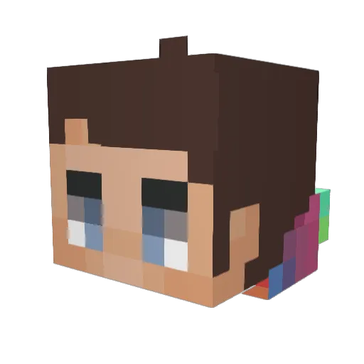 Birn Minecraft avatar head, 3D render