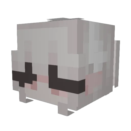 BirnaSol Minecraft avatar head, 3D render