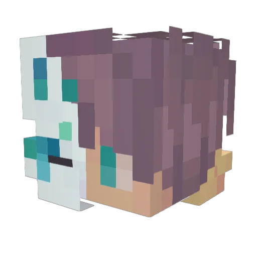 Biro246 Minecraft avatar head, 3D render