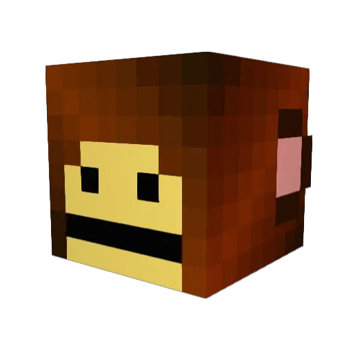 Biroda Minecraft avatar head, 3D render