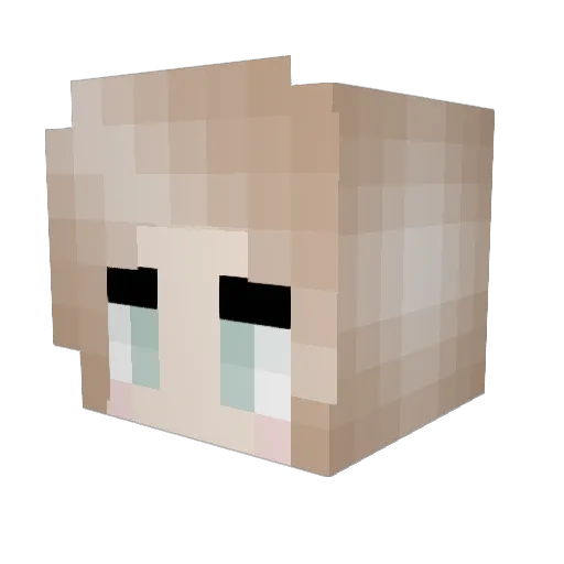 Biroo666 Minecraft avatar head, 3D render
