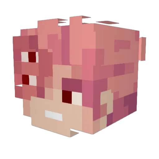 Biryaniman1 Minecraft avatar head, 3D render