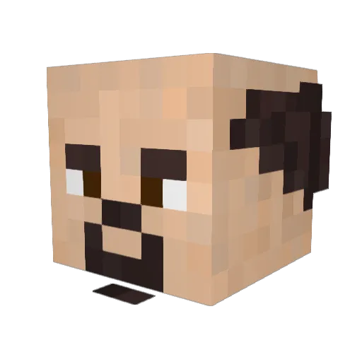 Bis0nte Minecraft avatar head, 3D render