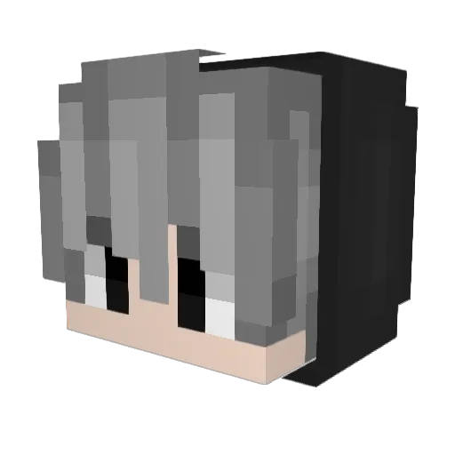 BisBoy_VN Minecraft avatar head, 3D render