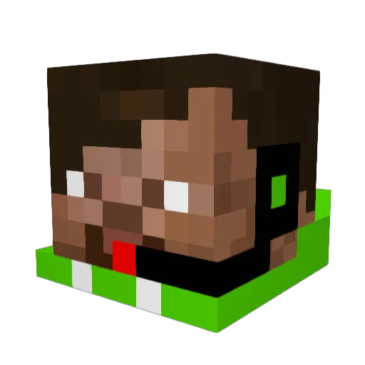 Bisa98 Minecraft avatar head, 3D render