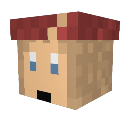 Bisalora Minecraft avatar head, 3D render