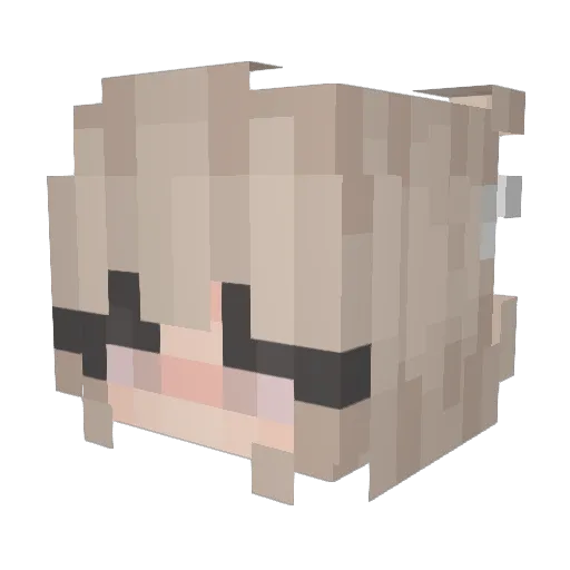 Bisccotta Minecraft avatar head, 3D render