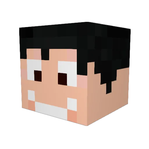 Biscince Minecraft avatar head, 3D render