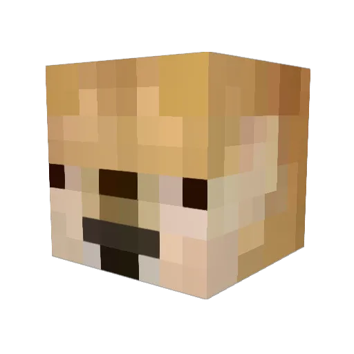 Biscoito01 Minecraft avatar head, 3D render