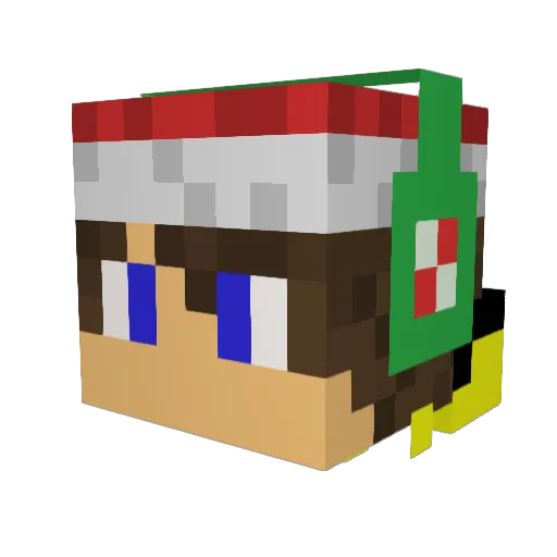BiscoitooBr Minecraft avatar head, 3D render