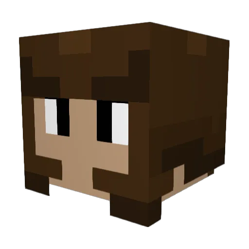 Biscuiiiiiit Minecraft avatar head, 3D render