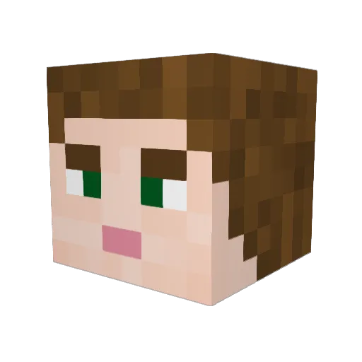 BiscuitTheNinja Minecraft avatar head, 3D render