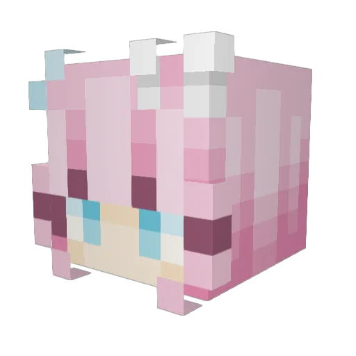 Biscuit_Da_Cat Minecraft avatar head, 3D render