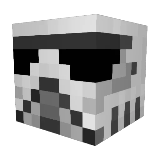 Biscuit_bick75 Minecraft avatar head, 3D render
