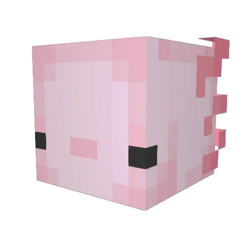 Biscuitcrumbly Minecraft avatar head, 3D render