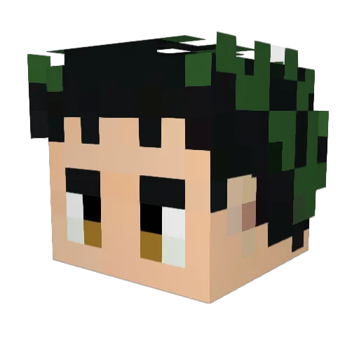 Biscuitpaws11 Minecraft avatar head, 3D render