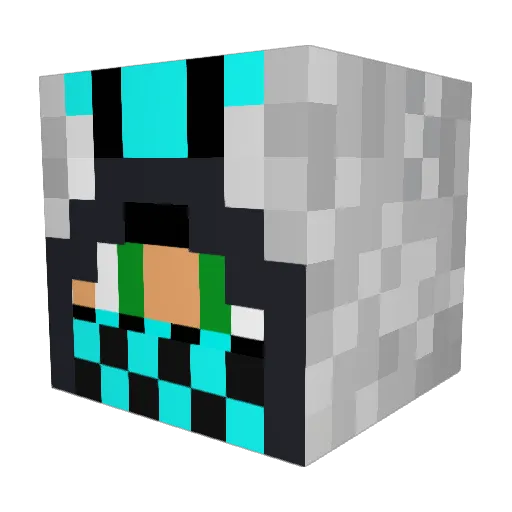 Bish_boi Minecraft avatar head, 3D render