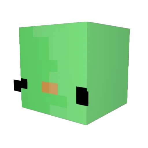 Bisha2019 Minecraft avatar head, 3D render