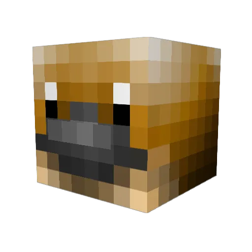 Bishbean Minecraft avatar head, 3D render