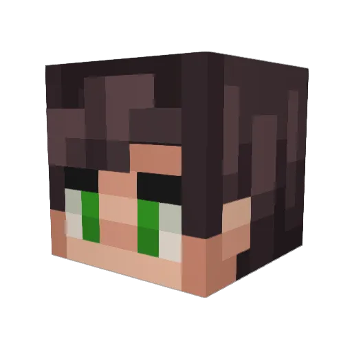 Bishop885 Minecraft avatar head, 3D render