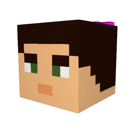 BishopMcGowan Minecraft avatar head, 3D render