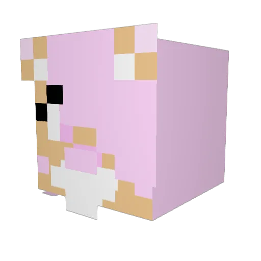 Bishoppaw Minecraft avatar head, 3D render
