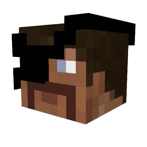 Bishopthefishop Minecraft avatar head, 3D render