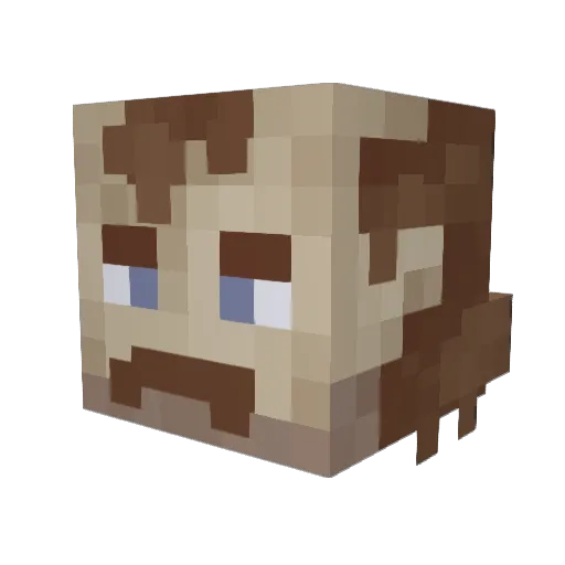 Bishuhp Minecraft avatar head, 3D render