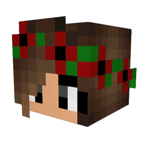 Bisi27 Minecraft avatar head, 3D render