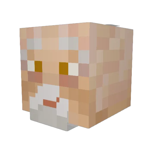 BiskupPL Minecraft avatar head, 3D render