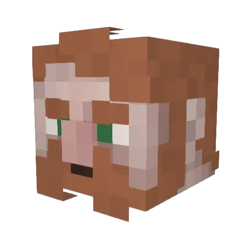Bismarck_67 Minecraft avatar head, 3D render