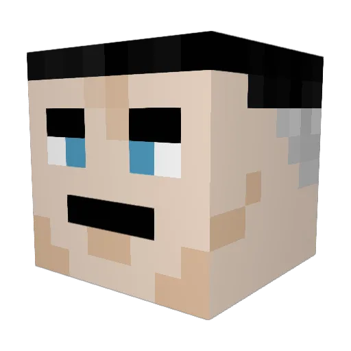 Bison42109 Minecraft avatar head, 3D render