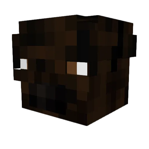 BisonBoomer Minecraft avatar head, 3D render