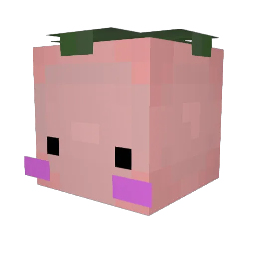 Bisousss Minecraft avatar head, 3D render