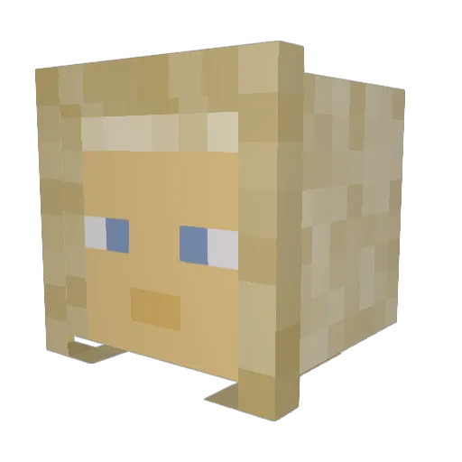 Bissabus Minecraft avatar head, 3D render