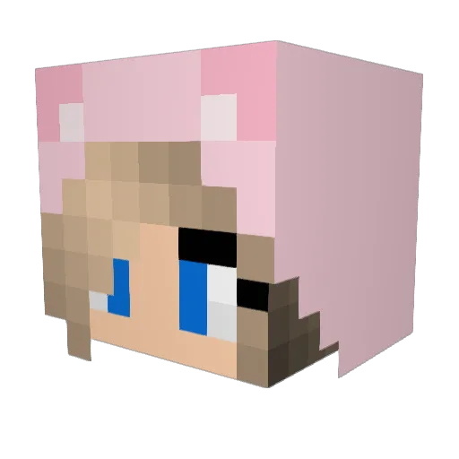 Bisse123 Minecraft avatar head, 3D render
