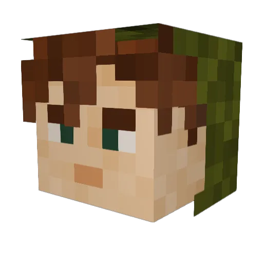 Bissecteur Minecraft avatar head, 3D render