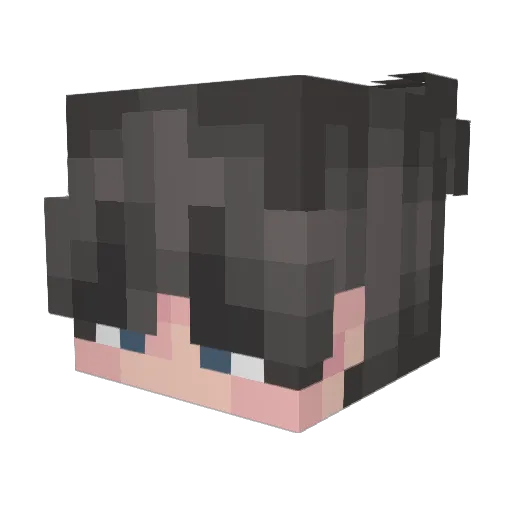 Bisyn Minecraft avatar head, 3D render
