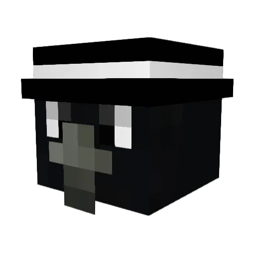 BitCrow17 Minecraft avatar head, 3D render
