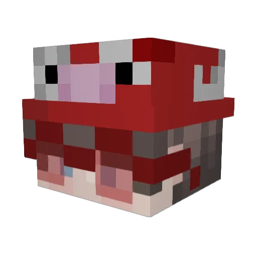 BitMooshroom1 Minecraft avatar head, 3D render