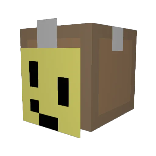 BitSight Minecraft avatar head, 3D render