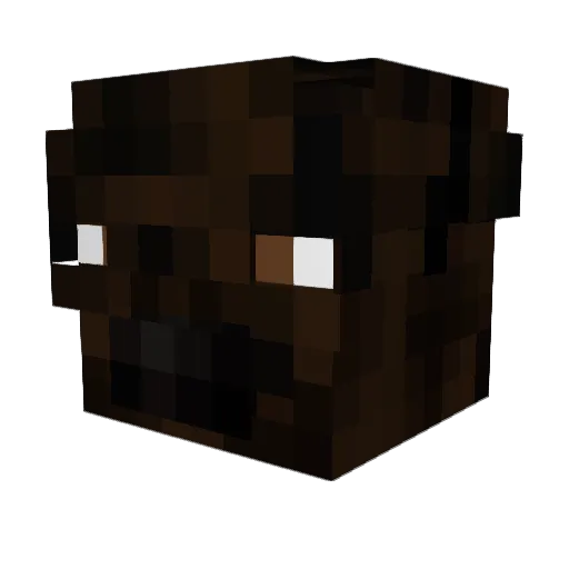 BitcoinBuffalo Minecraft avatar head, 3D render
