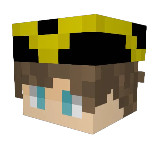 BitcoinPirate Minecraft avatar head, 3D render
