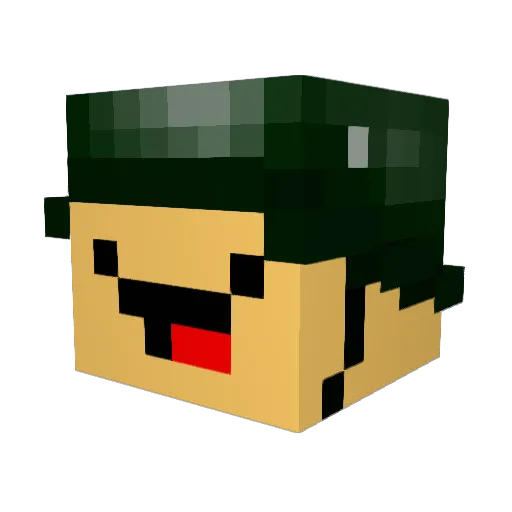 Bitolin Minecraft avatar head, 3D render