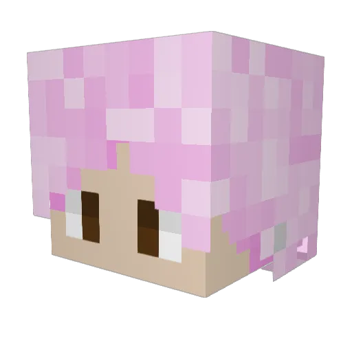Bitsin Minecraft avatar head, 3D render