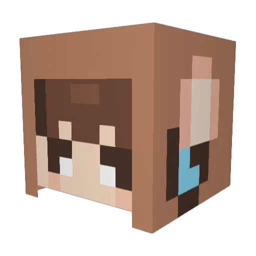 Bitsnbytes1 Minecraft avatar head, 3D render