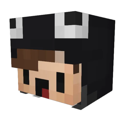BitteKaufMich Minecraft avatar head, 3D render